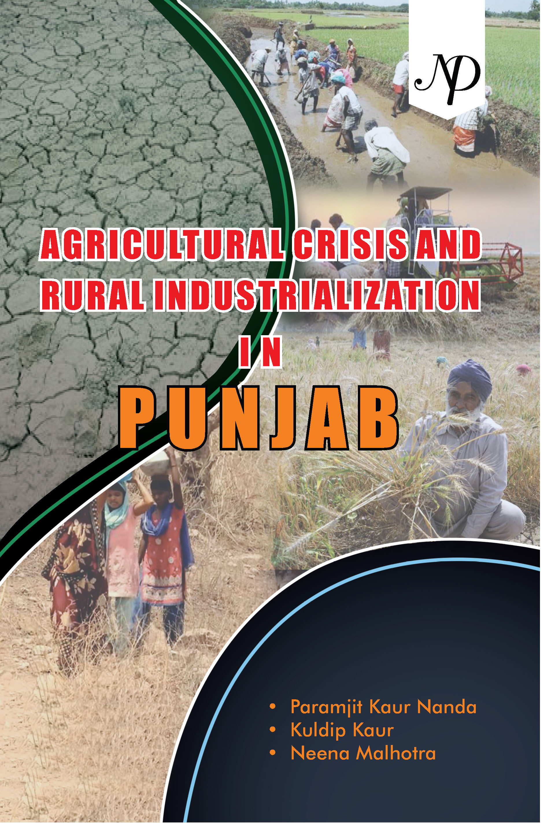 Agricultural crisis and Rural industrialization in Punjab cover.jpg